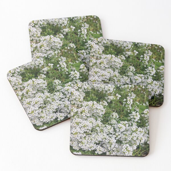 Item preview, Whispers of White — Alyssum Bloom designed and sold by LolaStudioArt.
