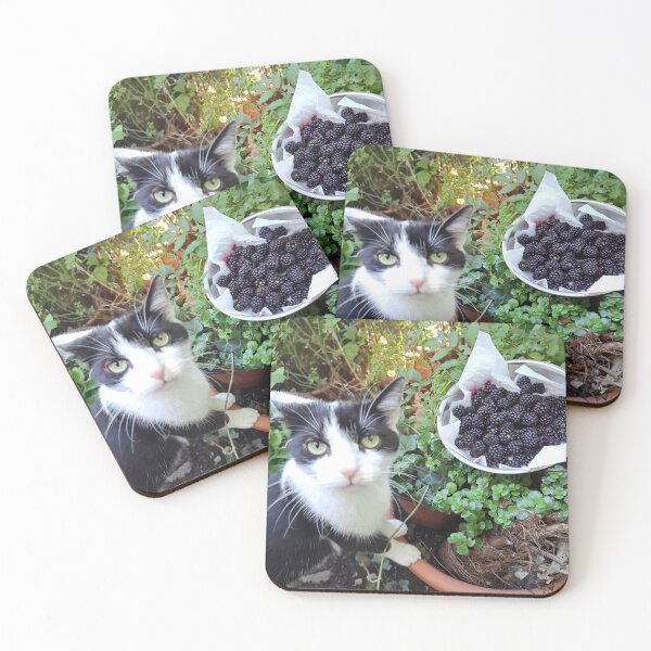 Item preview, CAT BRAMBLE HARVEST designed and sold by CliClaClever.