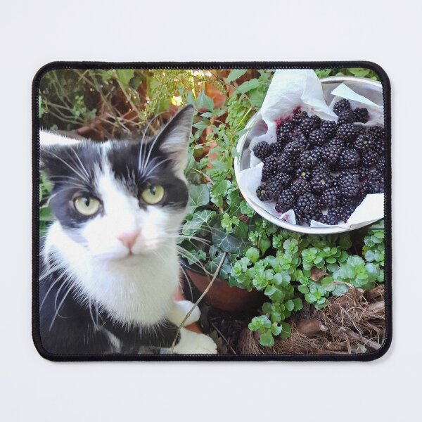 Item preview, CAT BRAMBLE HARVEST designed and sold by CliClaClever.