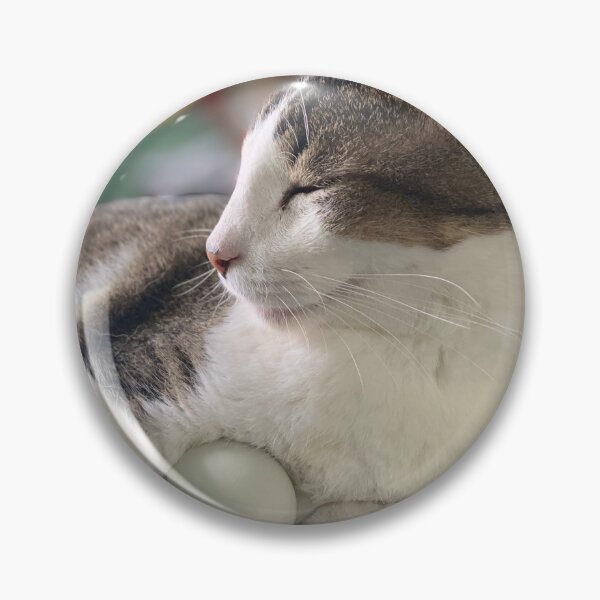 Item preview, Patient Love – Cat Quote by Khalil Gibran designed and sold by TrisaThyme.