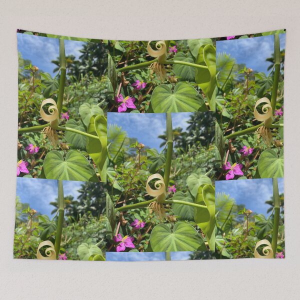 Item preview, Spiraling Leaf – Nature’s Geometry designed and sold by TrisaThyme.
