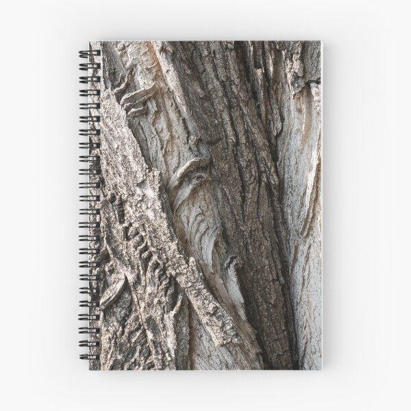 Item preview, Naturally Sculpted Tree Bark of Hundred Year Old Cottonwood designed and sold by Georgia Mizuleva.