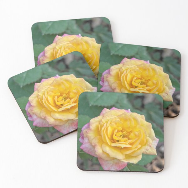 Item preview, Simple yellow pink Rose designed and sold by Betsy Phillips.