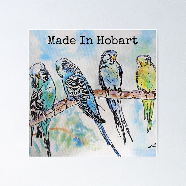 Item preview, Budgies Budgerigars Watercolour Painting Made In Hobart designed and sold by Sarah  Rajkotwala.