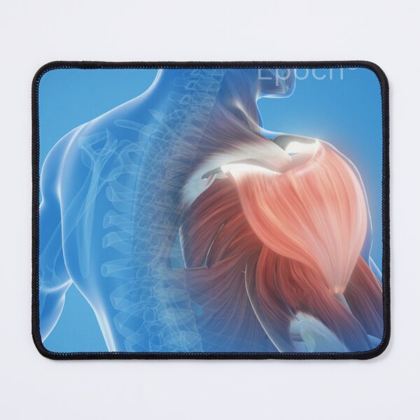 Item preview, Class 4 Laser Therapy for Pain with Epoch Lasers designed and sold by Epoch-Lasers.