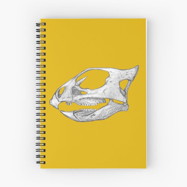 Item preview, Aquilops skull designed and sold by DoodleSnake58.