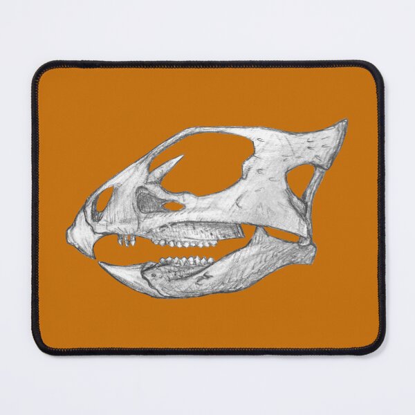 Item preview, Aquilops skull designed and sold by DoodleSnake58.