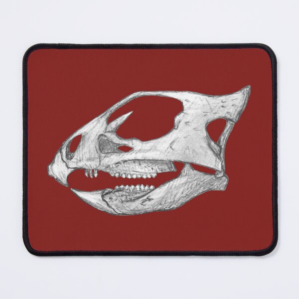 Item preview, Aquilops skull designed and sold by DoodleSnake58.