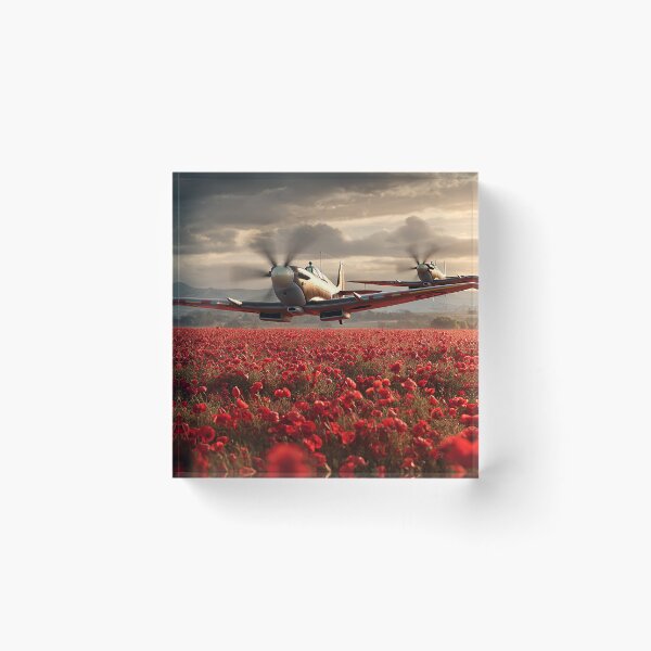 Item preview, Honour in the Air designed and sold by Skyframe Aviation.