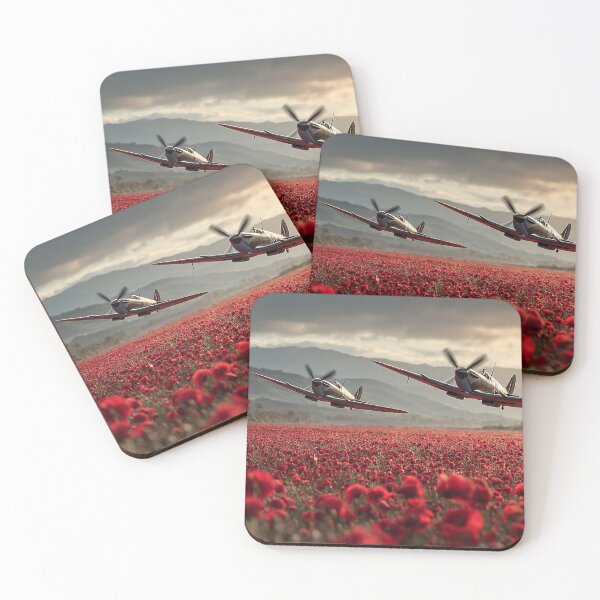 Item preview, Two Spitfires Remember designed and sold by Skyframe Aviation.