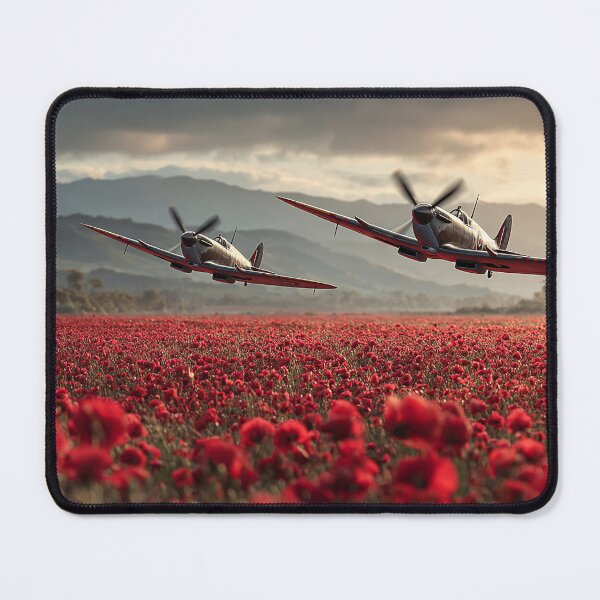 Item preview, Two Spitfires Remember designed and sold by Skyframe Aviation.