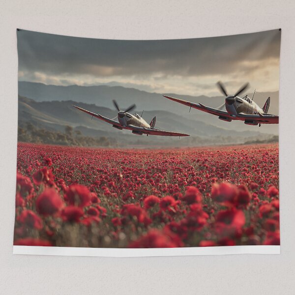 Item preview, Two Spitfires Remember designed and sold by Skyframe Aviation.