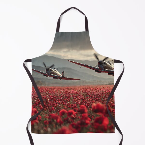 Item preview, Two Spitfires Remember designed and sold by Skyframe Aviation.