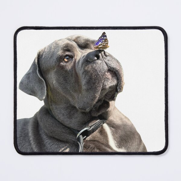 Item preview, Cane Corso Ares designed and sold by Gew-Di.