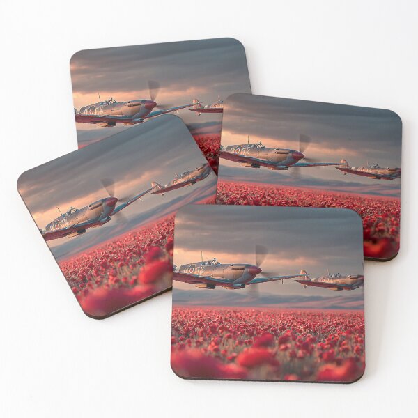 Item preview, Skybound Salute designed and sold by Skyframe Aviation.