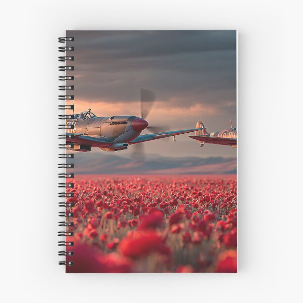 Item preview, Skybound Salute designed and sold by Skyframe Aviation.