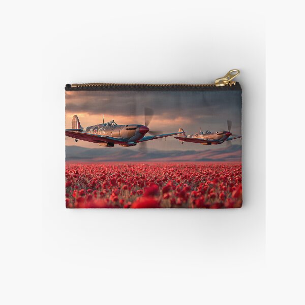Item preview, Skybound Salute designed and sold by Skyframe Aviation.
