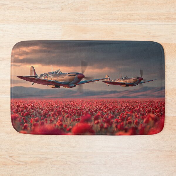 Item preview, Skybound Salute designed and sold by Skyframe Aviation.