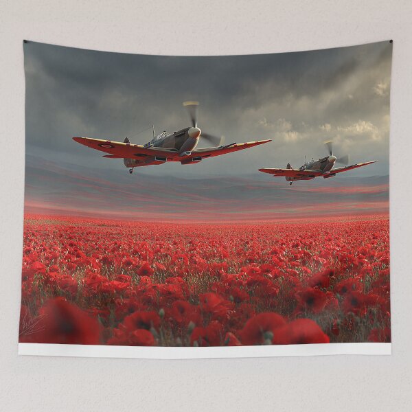 Item preview, Soaring Through History designed and sold by Skyframe Aviation.
