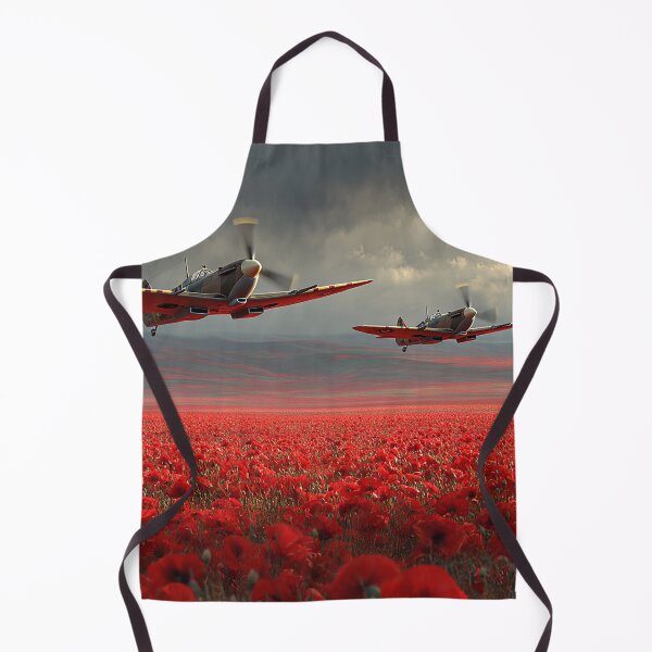 Item preview, Soaring Through History designed and sold by Skyframe Aviation.