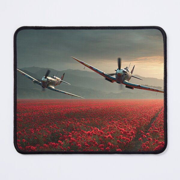 Item preview, Spitfire Elegy designed and sold by Skyframe Aviation.