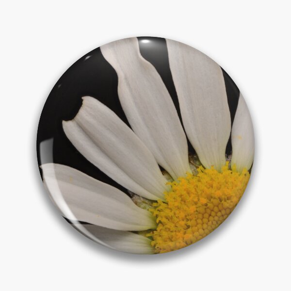 Item preview, White Daisy Bloom – Minimalist Macro Flower Photography designed and sold by Goiko7Margarita.