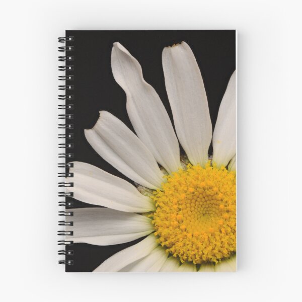 Item preview, White Daisy Bloom – Minimalist Macro Flower Photography designed and sold by Goiko7Margarita.