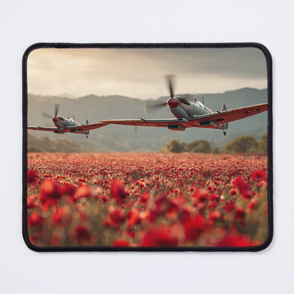 Item preview, Airborne Honour designed and sold by Skyframe Aviation.