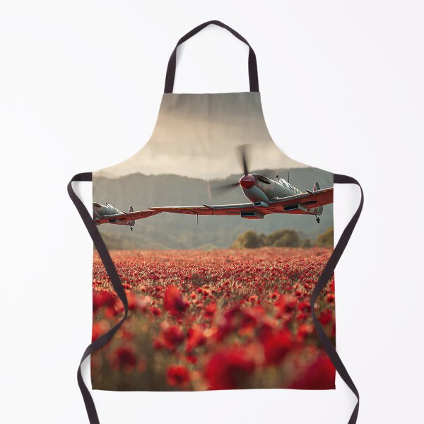 Item preview, Airborne Honour designed and sold by Skyframe Aviation.