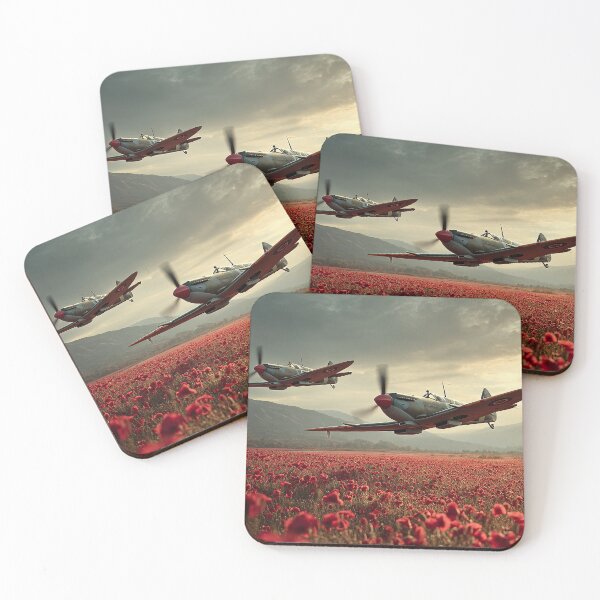 Item preview, Skyward Memorial designed and sold by Skyframe Aviation.