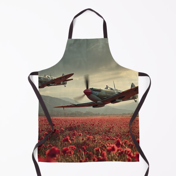 Item preview, Skyward Memorial designed and sold by Skyframe Aviation.