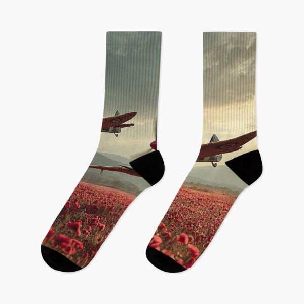 Item preview, Skyward Memorial designed and sold by Skyframe Aviation.