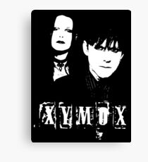 Clan Of Xymox Canvas Print