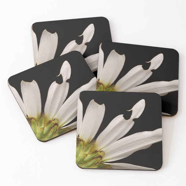 Item preview, Backside of a Daisy Macro – Natural Imperfection designed and sold by Goiko7Margarita.
