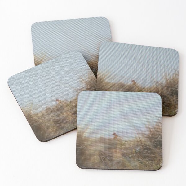 Item preview, Coastal golden hours grasses designed and sold by bhabanerjee.