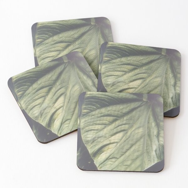 Item preview, Green loaf on the forest designed and sold by bhabanerjee.