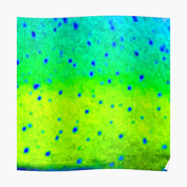 "Mahi Mahi Skin" Poster by jenncapo Redbubble
