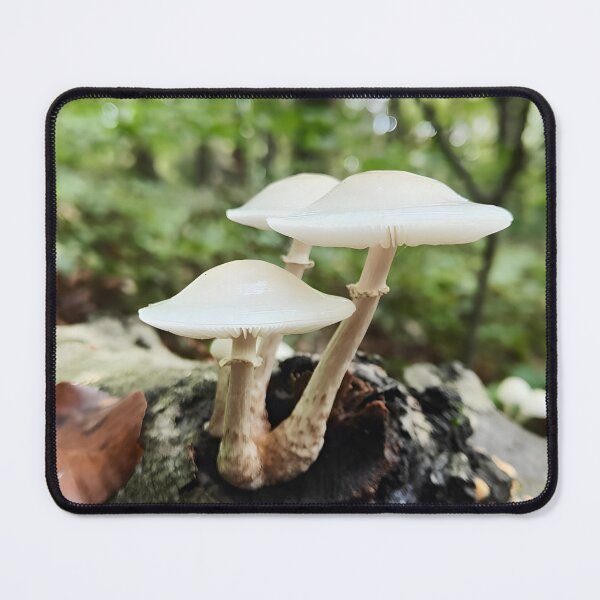 Item preview, Forest Serenity: Mushroom Art designed and sold by tarzbol.