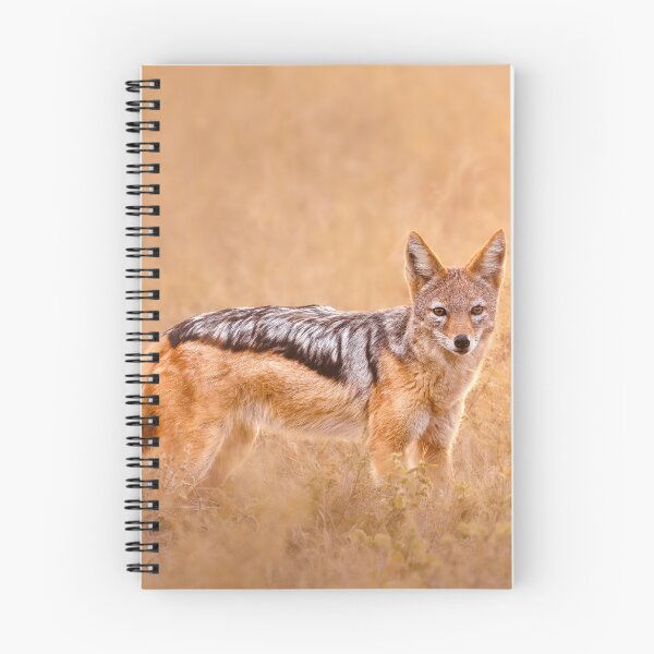 Item preview, Black-backed jackal at sunrise designed and sold by Mihaela Limberea.