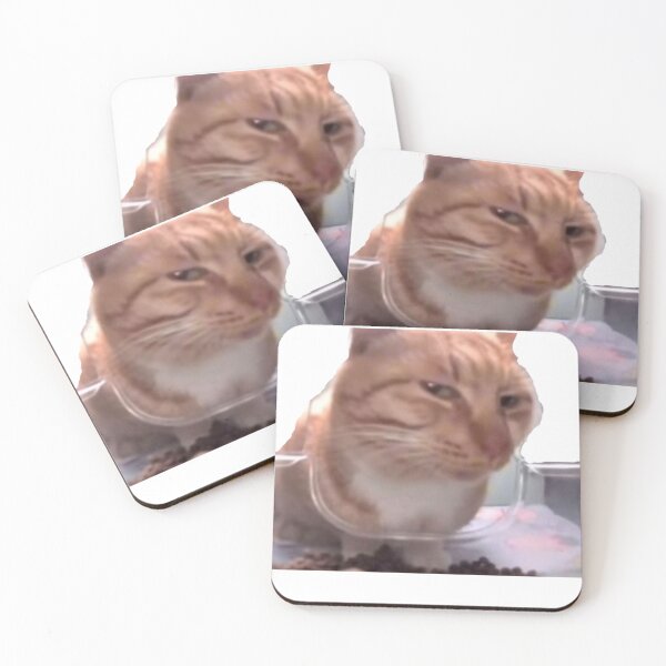 Item preview, suspicious cat meme designed and sold by Shrewd Mood.