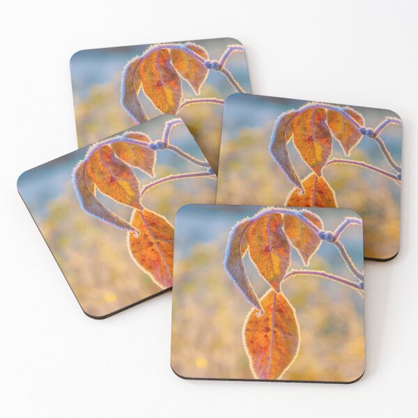 Item preview, Frosty Autumn Leaves in Sunlight designed and sold by Veikko  Suikkanen.