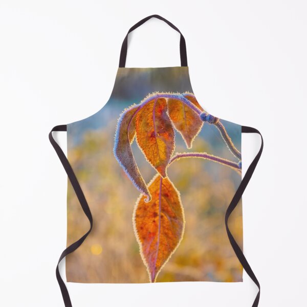 Item preview, Frosty Autumn Leaves in Sunlight designed and sold by Veikko  Suikkanen.