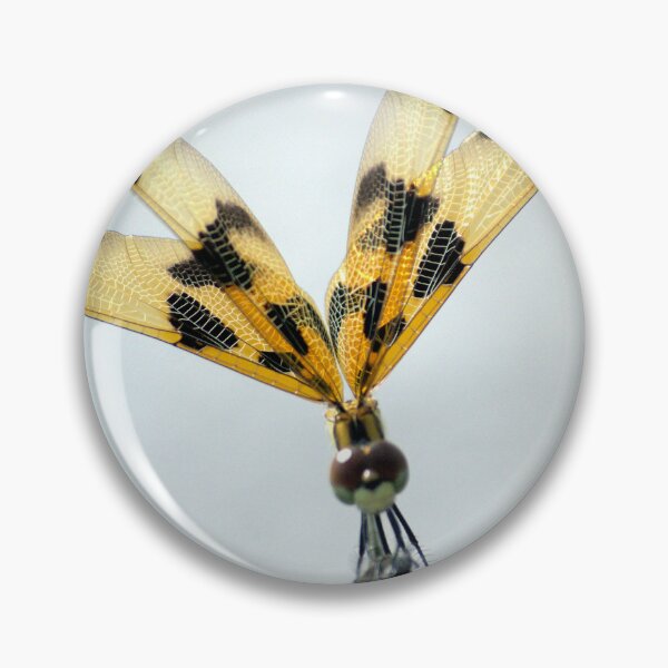 Item preview, Dragonfly Perched on a Twig designed and sold by MercerImages.