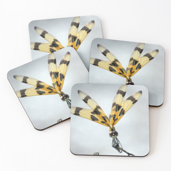 Item preview, Dragonfly Perched on a Twig designed and sold by MercerImages.