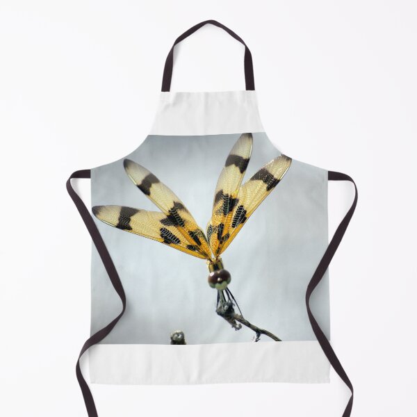 Item preview, Dragonfly Perched on a Twig designed and sold by MercerImages.
