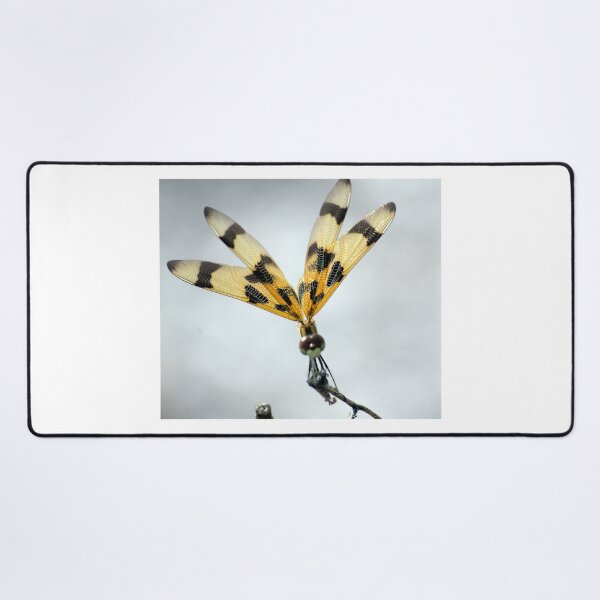 Item preview, Dragonfly Perched on a Twig designed and sold by MercerImages.