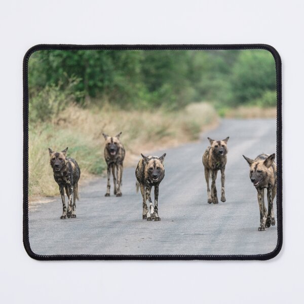 Item preview, The Road Belongs to Us — African Wild Dogs on Patrol (Kruger) designed and sold by DavideAntoniani.