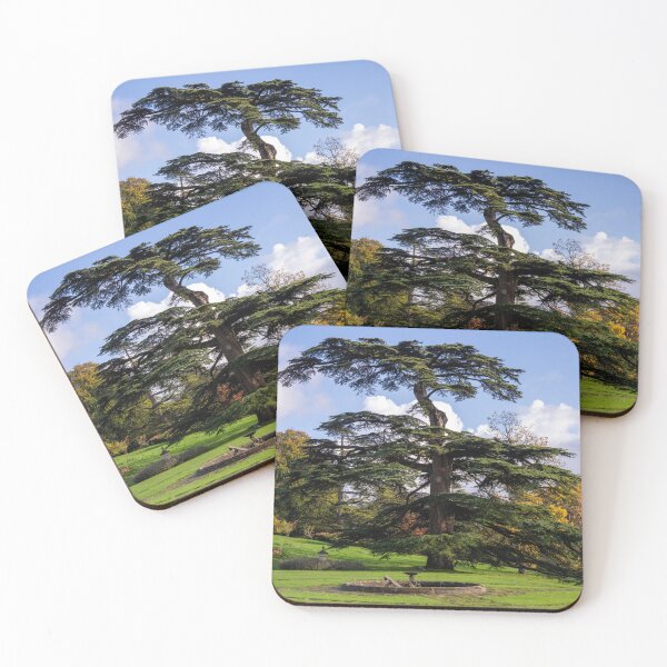 Item preview, Wonderful Shaped Tree And Autumn Fall Colours designed and sold by Harmony Of The Mind.