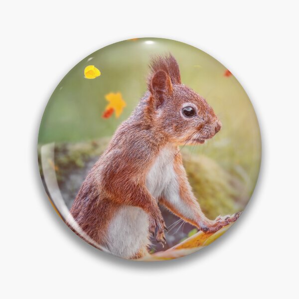 Item preview, Red Squirrel with Halloween Pumpkins designed and sold by Mihaela Limberea.