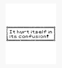 It Hurt Itself In Its Confusion Photographic Print